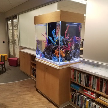 Built In Aquariums
