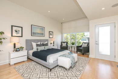Bedroom - modern master bedroom idea in Ottawa