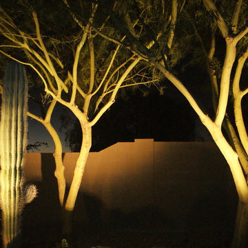 Lighting