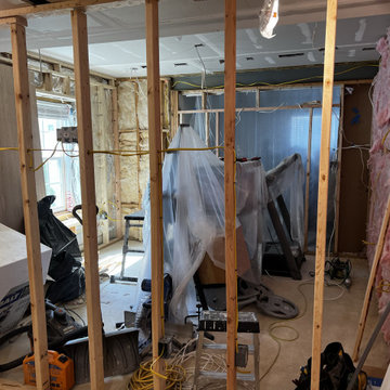 Basement Remodel