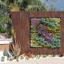 succulant wall