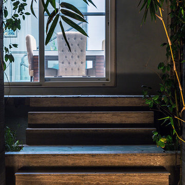 The House Of Plumeria,New Delhi by Renesa Architecture Studio.