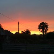 Foto de Sharon Gorringe