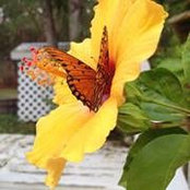 Amber Jones's photo