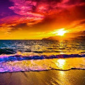 Myra Gonzales's photo