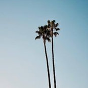 Alexis Jacot's photo