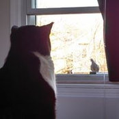 Kristin Davis's photo