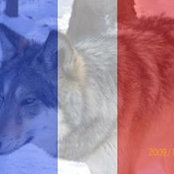 Foto von Kevin Crawford