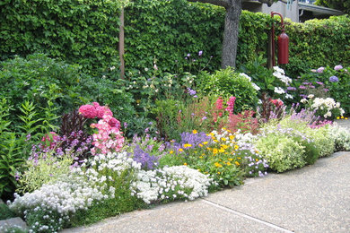 Inspiration for a garden in San Francisco.