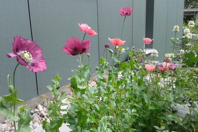 Mittelgroßer Rustikaler Gartenweg im Sommer, neben dem Haus mit direkter Sonneneinstrahlung und Betonboden in Berlin