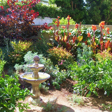 Westminister, CA: Lush CA Native Drought-Tolerant Garden