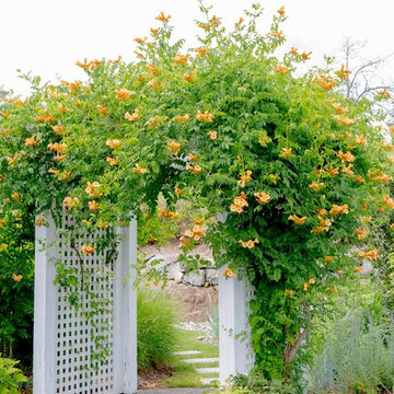 Gardens!