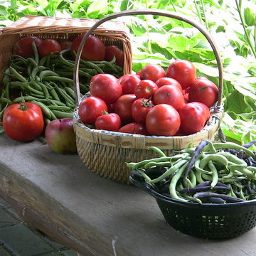 SouthWoods Forest Gardens