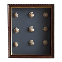 Shell Gallery Art - Turban - Artwork