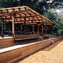 Arena