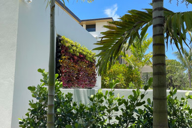 Patio vertical garden - modern courtyard patio vertical garden idea in Miami