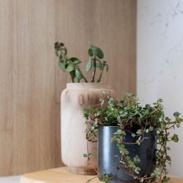 GOVERMENT LANE RENOVATION | TOWNHOUSE | BURNABY