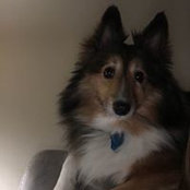 Don Veglia's photo