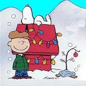 Dorothy Orr's photo