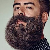 Photo de Baba Bushe