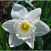 Foto von Bev Sher