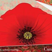 Trudy Leger's photo