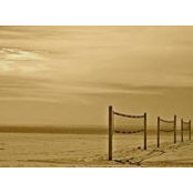 Randy Totorp's photo