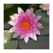 Nan Kendall's photo