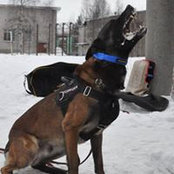 Наталья Тюкерs foto