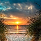 Joanne Hixson's photo