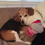 Beth Krumrey Bollinger's photo