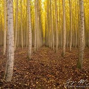 Debbie Ide's photo