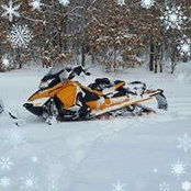 Travis Olson's photo