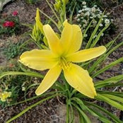 Cindy Heitkamp's photo