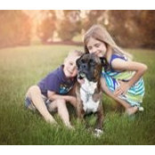 Tricia Kostner-Nicholson's photo