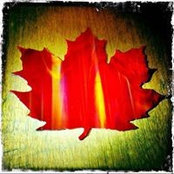 JR Walsh's photo