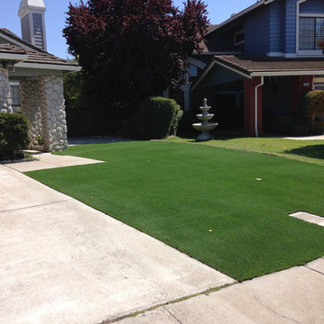 Global Syn-Turf artificial grass in Walnut Creek, CA