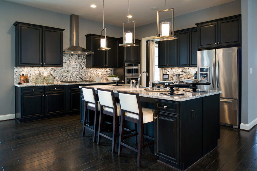Cabin Branch Seattle Model Home, Maryland