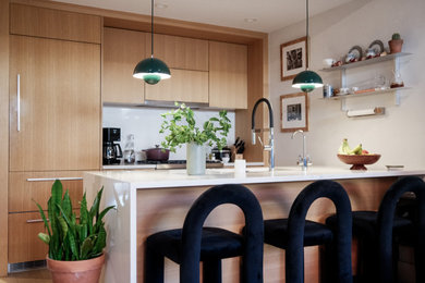 Example of a minimalist kitchen design in New York