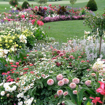 Annuals & Perennials