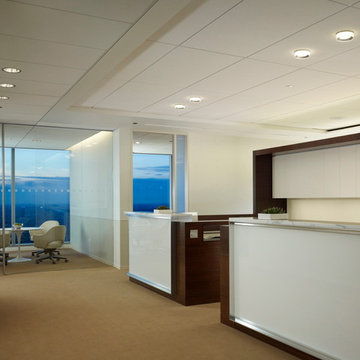 Skadden Arps Law Firm