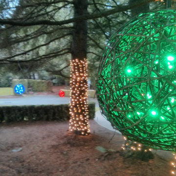 Holiday Light in Woodinville