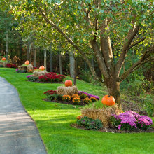 Gardens