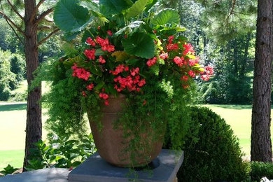Inspiration for a traditional landscaping in Other.
