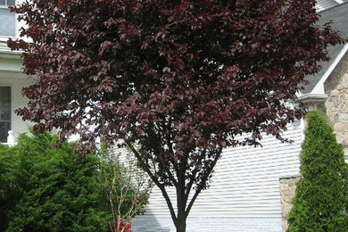 Inspiration for a craftsman exterior home remodel in Seattle