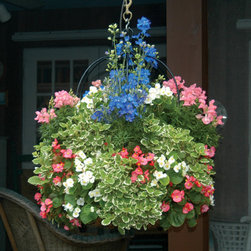 Imperial Hanging Planter - 16" Single Tier - Products