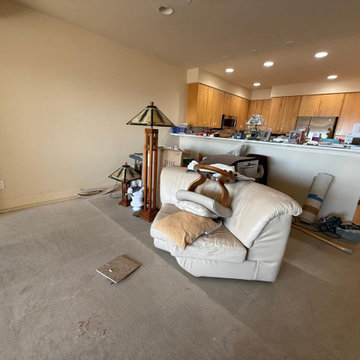 Damage Restoration