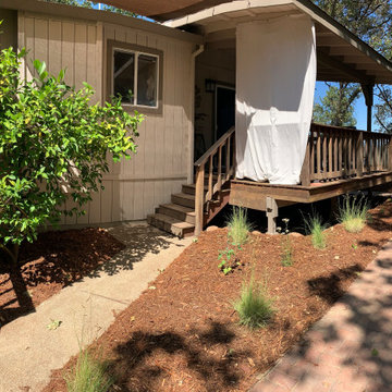 Shingle Springs Back Yard
