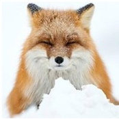 Christine Parker's photo