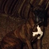 Marci Meyer Hanlon's photo